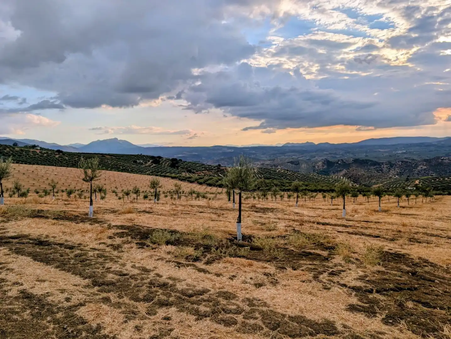 Casa rústica en venda a Loja, imagen 17