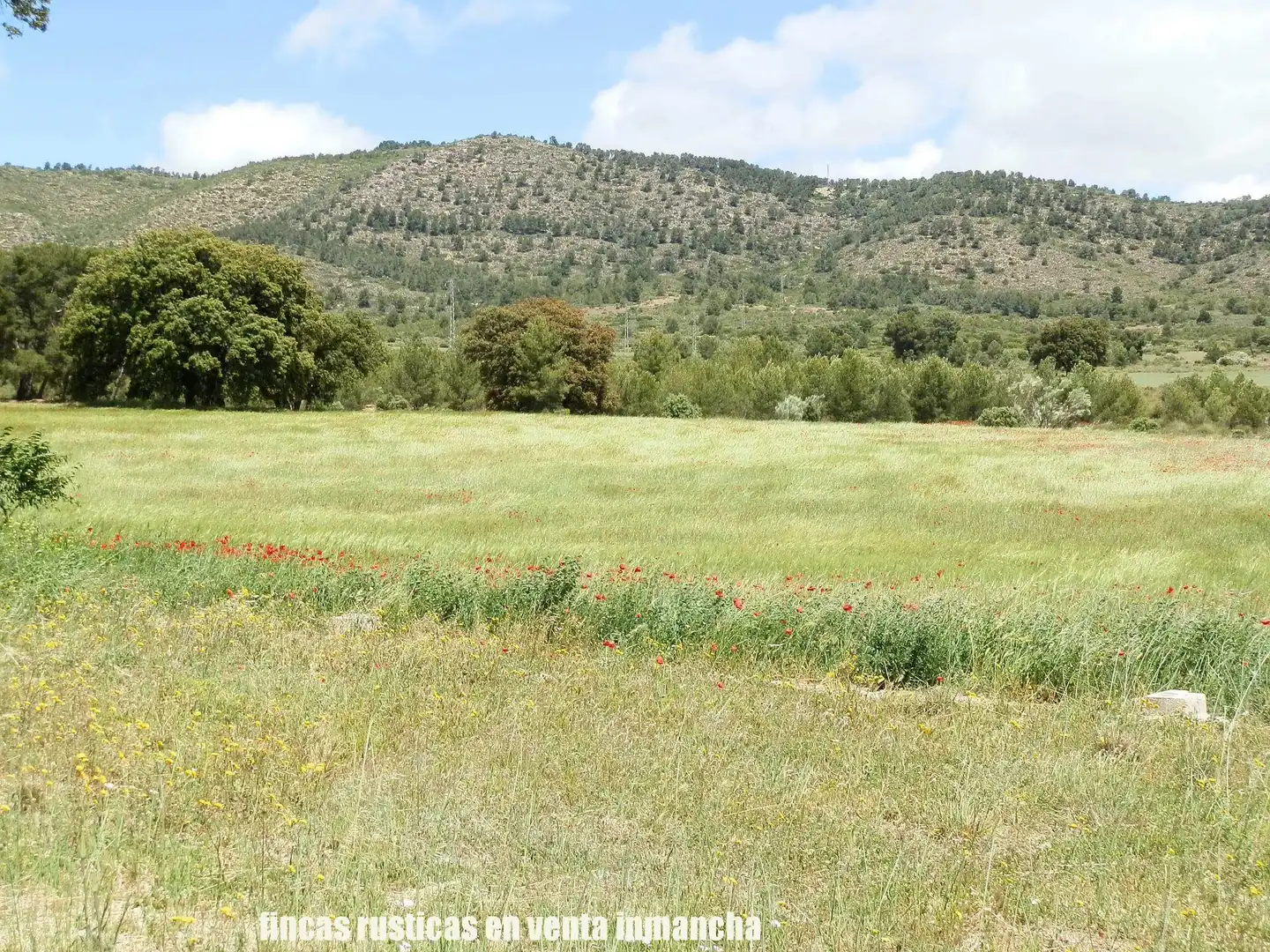 Terreni e lotti in vendita a Elche de la Sierra, imagen 10