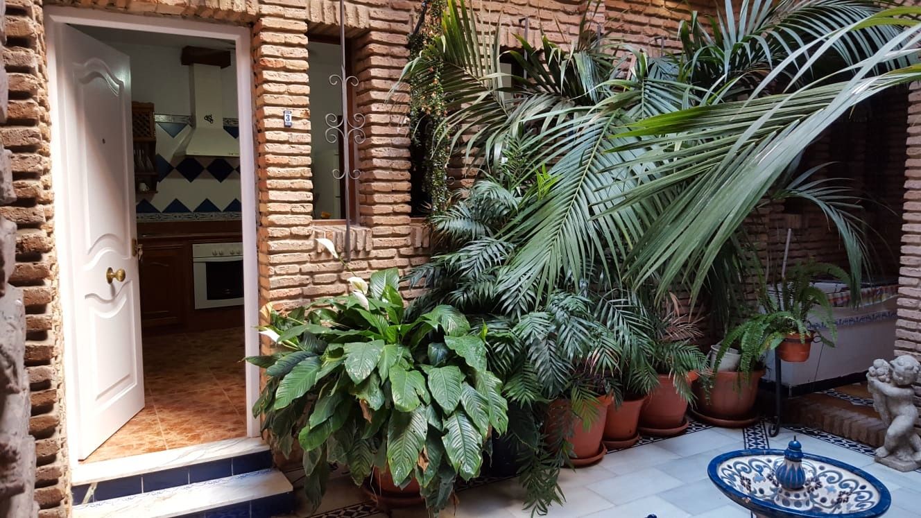 Jardí de Casa o xalet en venda en El Puerto de Santa María amb Aire condicionat i Terrassa