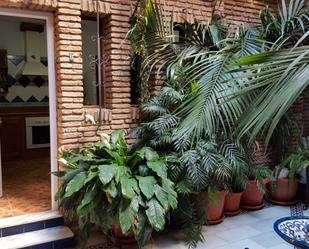 Garden of House or chalet for sale in El Puerto de Santa María  with Air Conditioner and Terrace