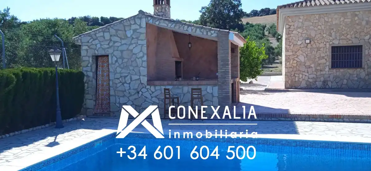 Vista exterior de Finca rústica en venta en Algodonales con Piscina