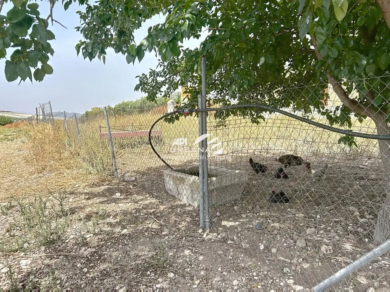 Casa amb piscina en venda a Cuesta Baltasar, imagen 26