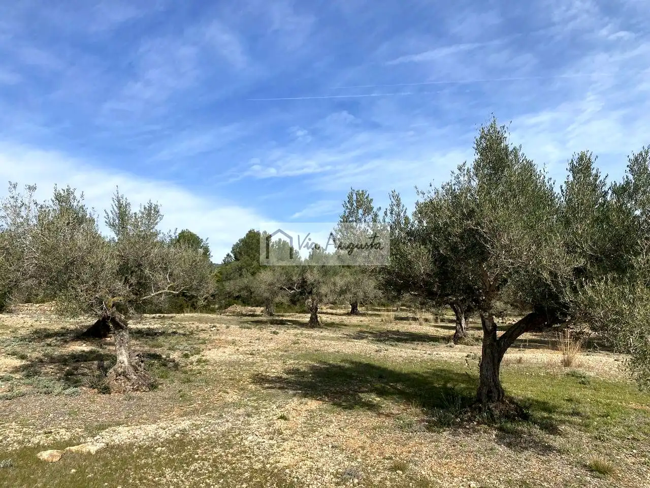 Terreno rustico in vendita a Planas, imagen 15
