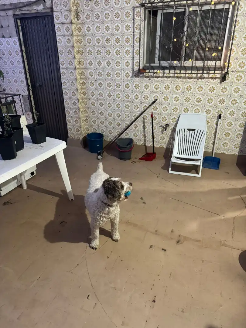 Jardín de Casa adosada en venta en Dos Hermanas con Aire acondicionado, Terraza y Amueblado
