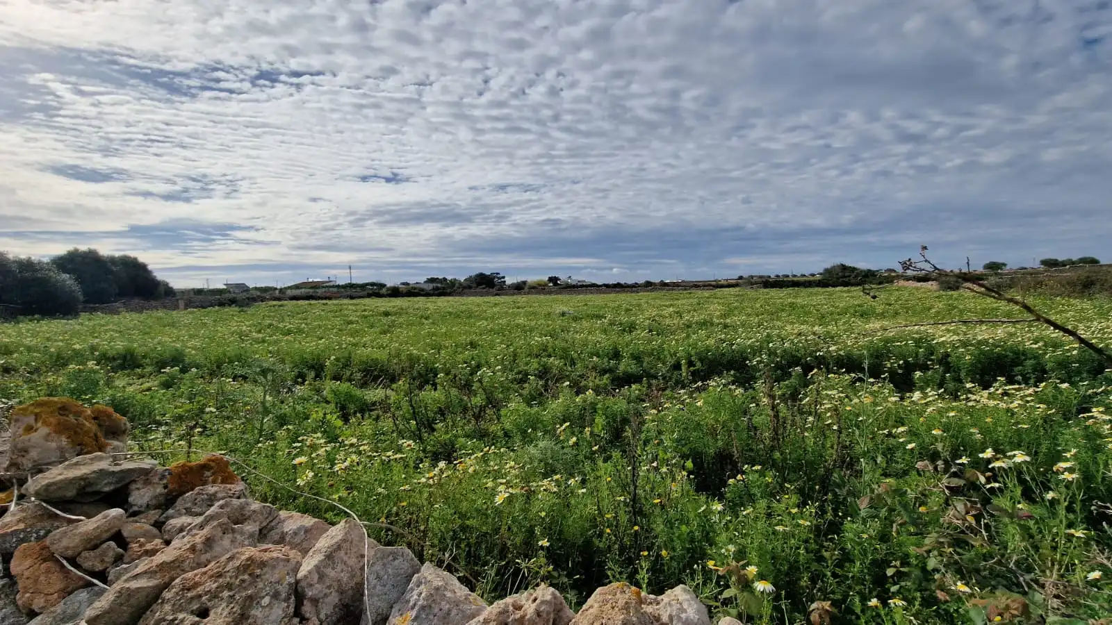 Rural land for sale in Ciutadella, imagen 2