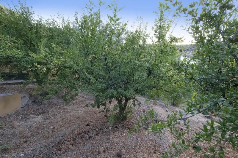 Terreni e lotti in vendita a Villamena, imagen 30