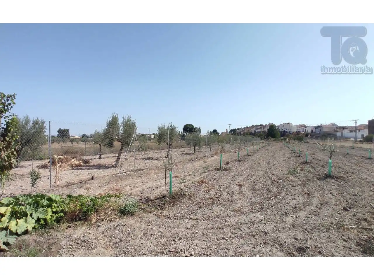 Finca rústica en venta en Albatana con Jardín privado y Terraza