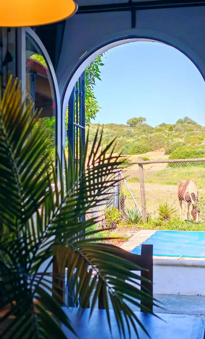 Jardín de Casa o chalet en venta en Medina Sidonia con Jardín privado, Piscina y Amueblado