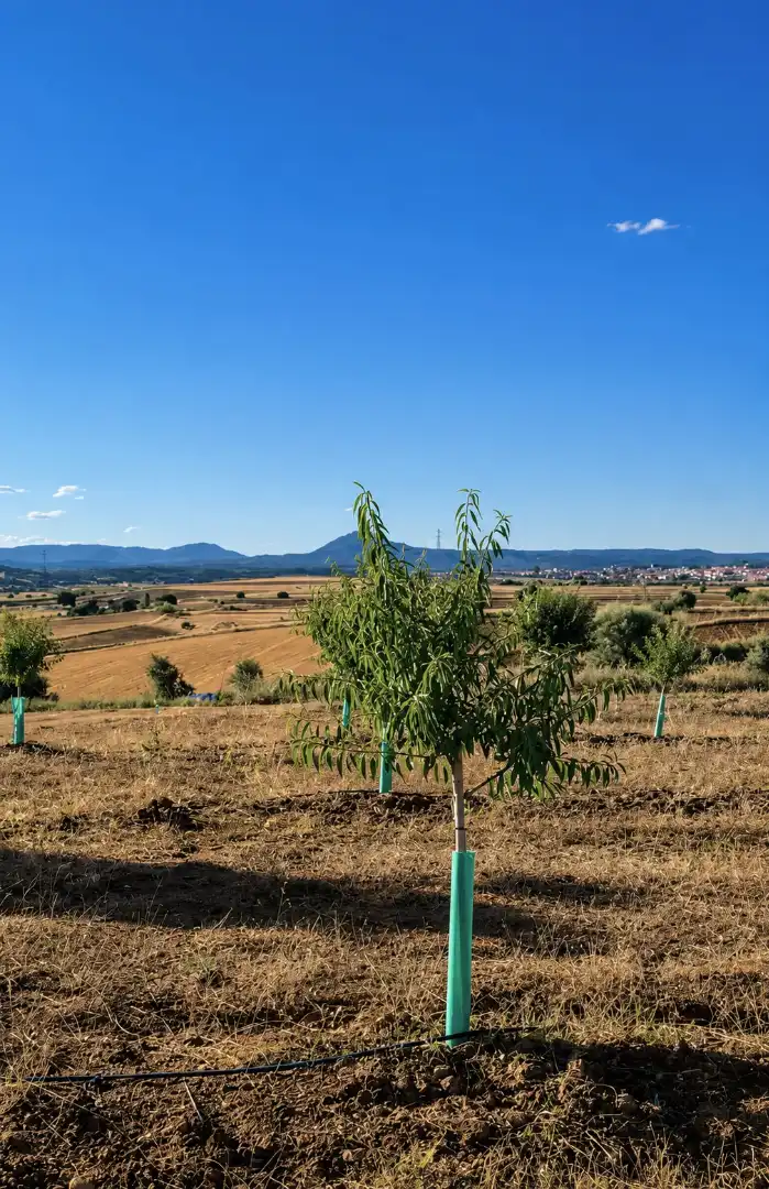 Casa rústica en venta en Almorox, imagen 10