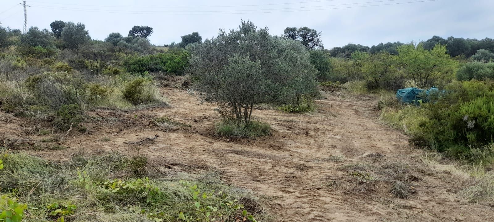 Land for sale in Vilajuïga