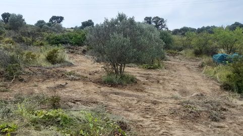 Foto 4 de Terreny en venda a Vilajuïga, Girona