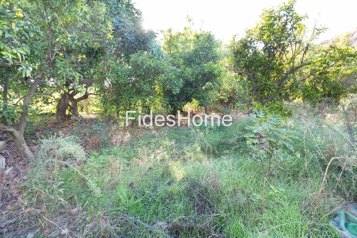 Terreno rustico in vendita a XC2W+49C Talará 0, imagen 13