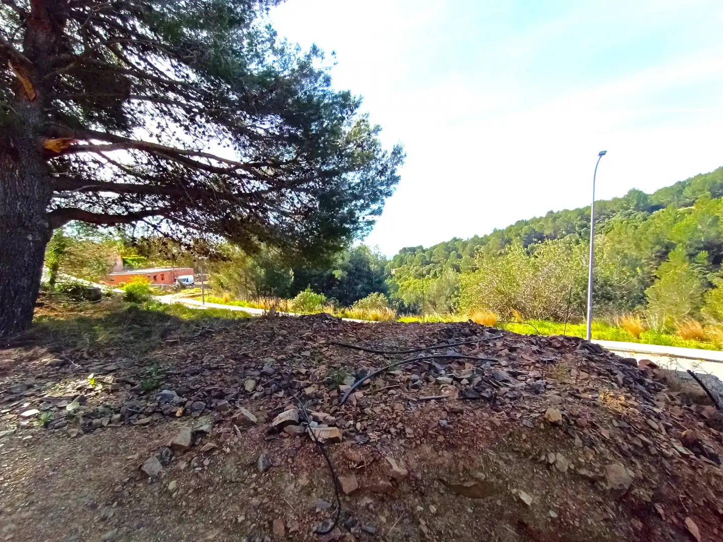 Terreny residencial en venda a Almoster, imagen 4
