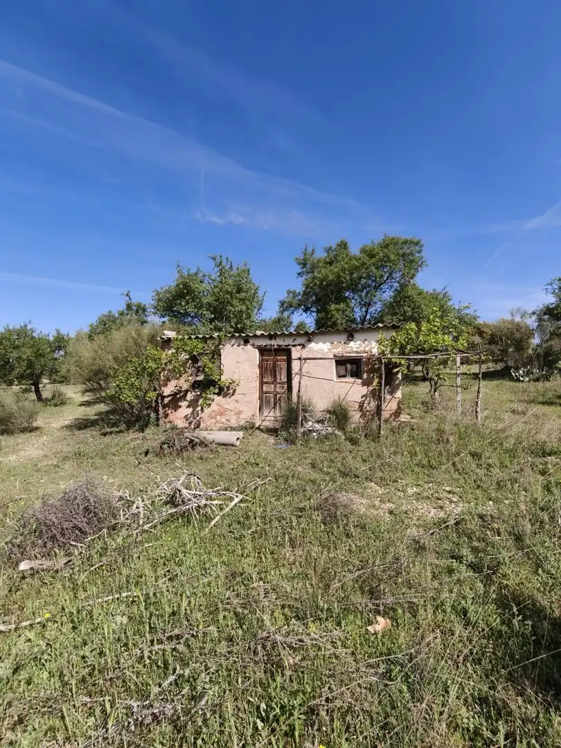 Chalet en venta en CERRO PALOS poligono 45 parcela 63, imagen 16