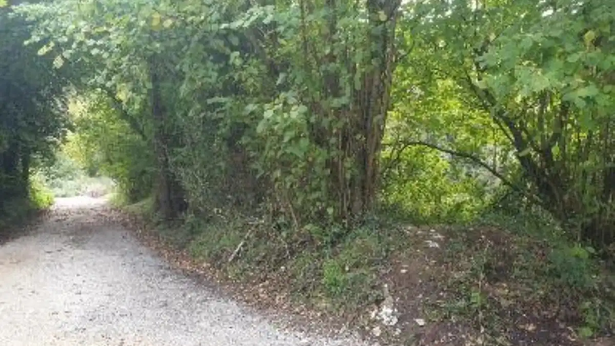 Terreno rustico in vendita a Lugar Carrionina, imagen 15