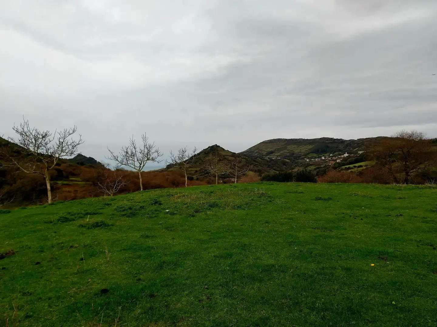 Rural land for sale in Zierbena, imagen 11