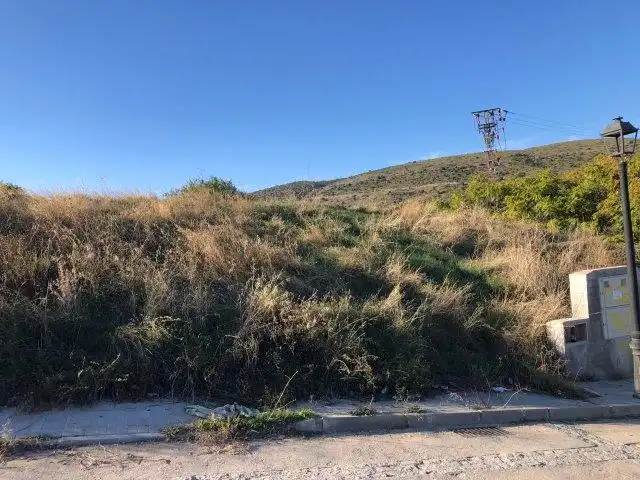 Terreny rústic en venda a C/ Estrella, imagen 9