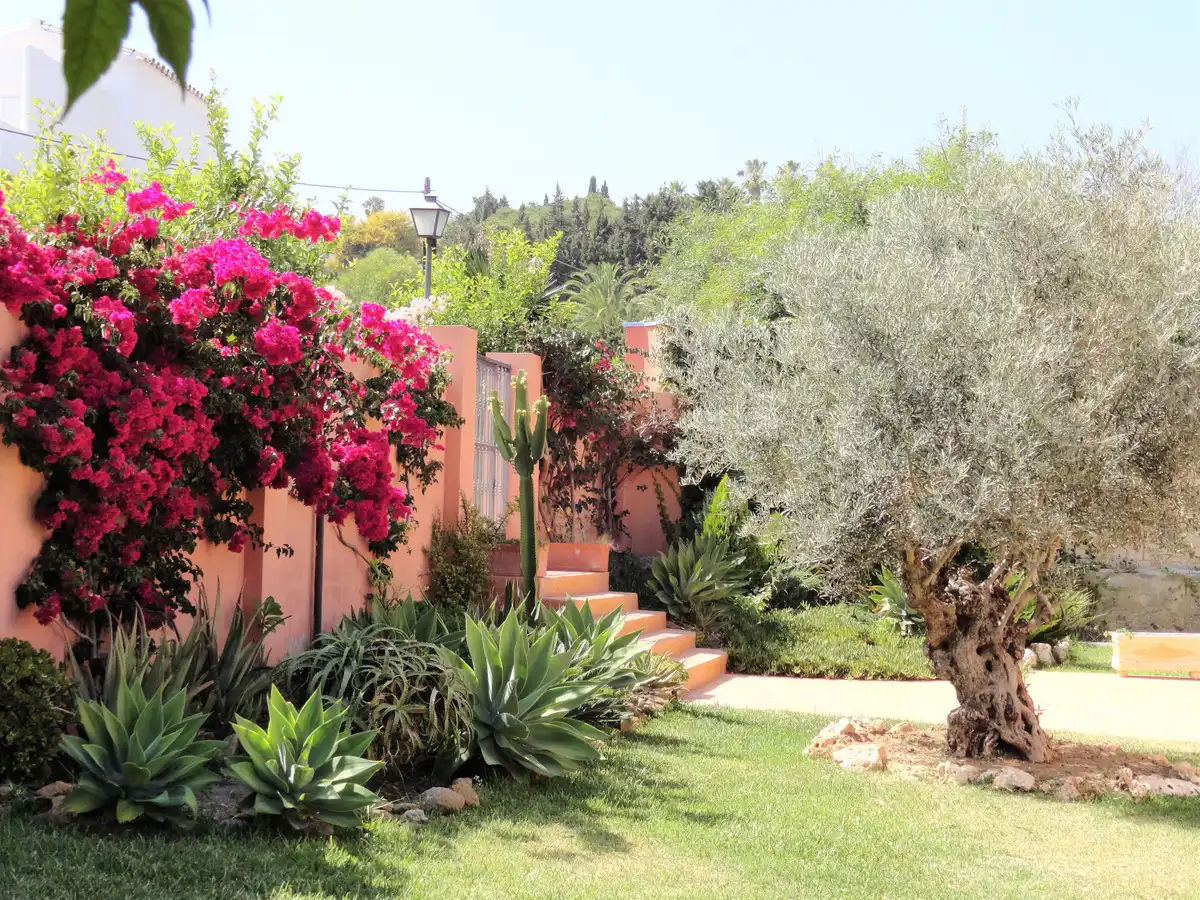 Casa amb piscina en venda a Estepona Pueblo, imagen 47
