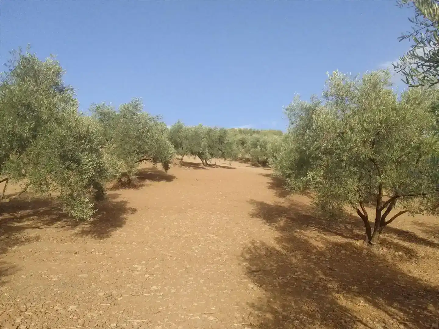 Pis en venda en Almogía, Málaga