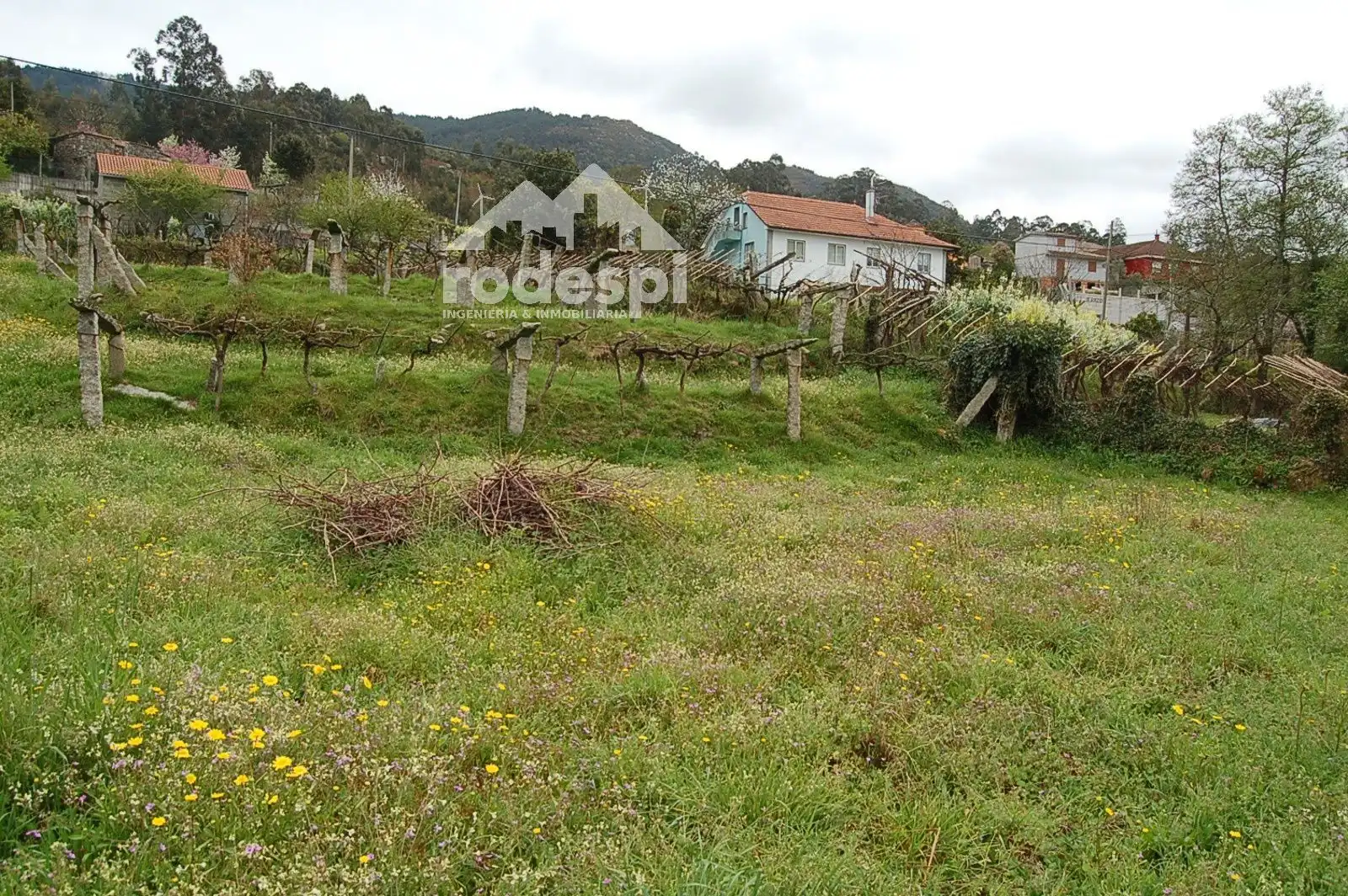 Terrain rustique à vendre à As Neves, imagen 2