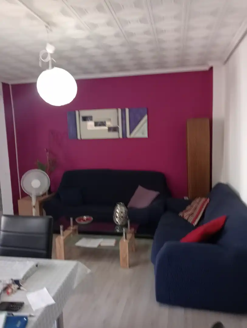 Sala de estar de Piso de alquiler en Valencia con Amueblado, Horno y Lavadora