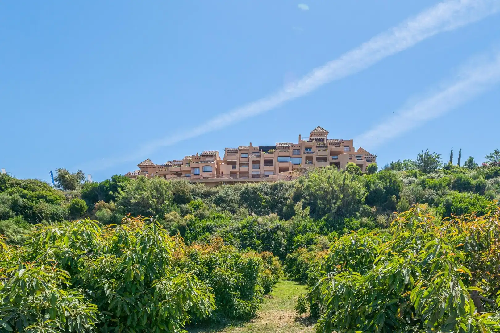 Penthouse mit Pool zum Verkauf in Benamara - Atalaya, imagen 47
