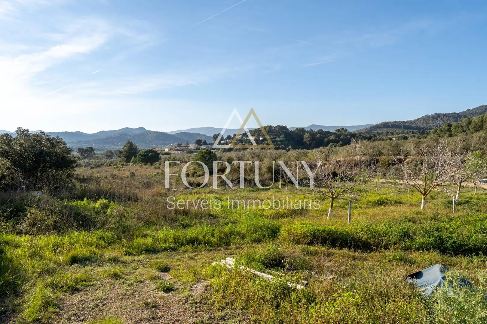 Country homes for sale in L'Aleixar