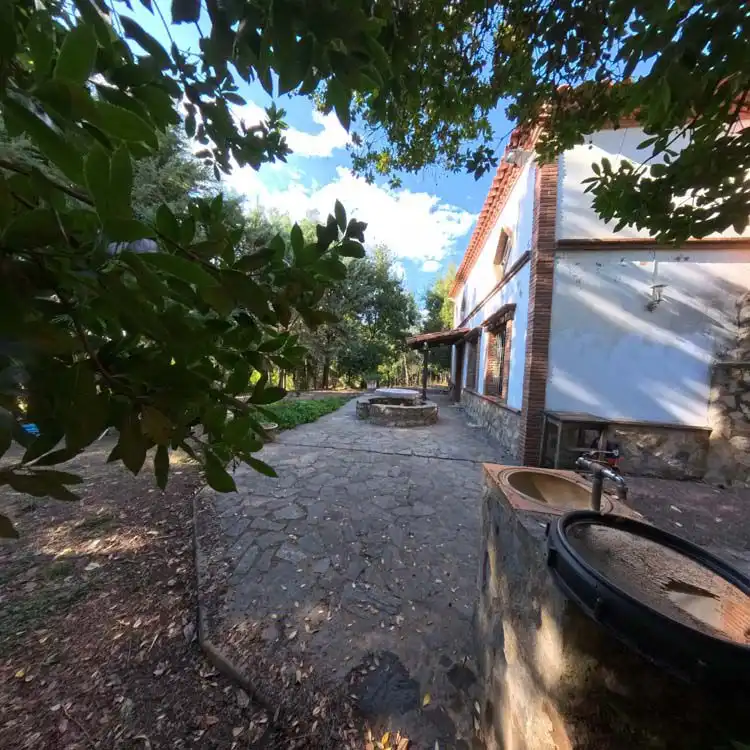 Jardí de Finca rústica en venda en Castaño del Robledo