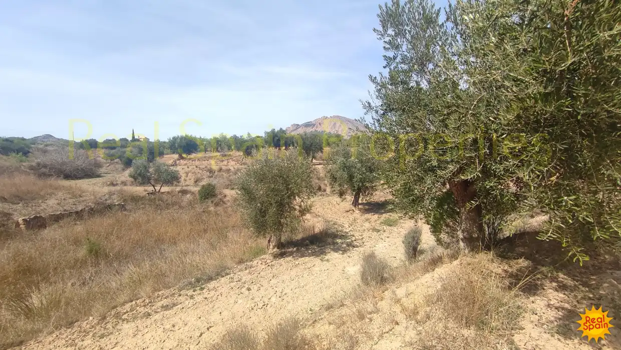 Residential land for sale in Vélez-Rubio, imagen 19
