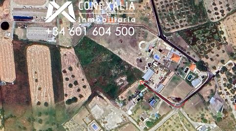 Finca en venta en Los Baños., imagen 2