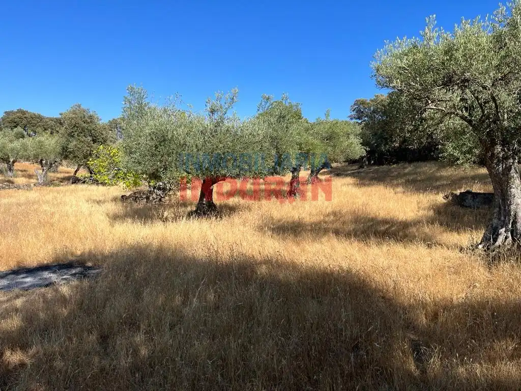 Casa rústica en venda a Belvís de Monroy, imagen 2