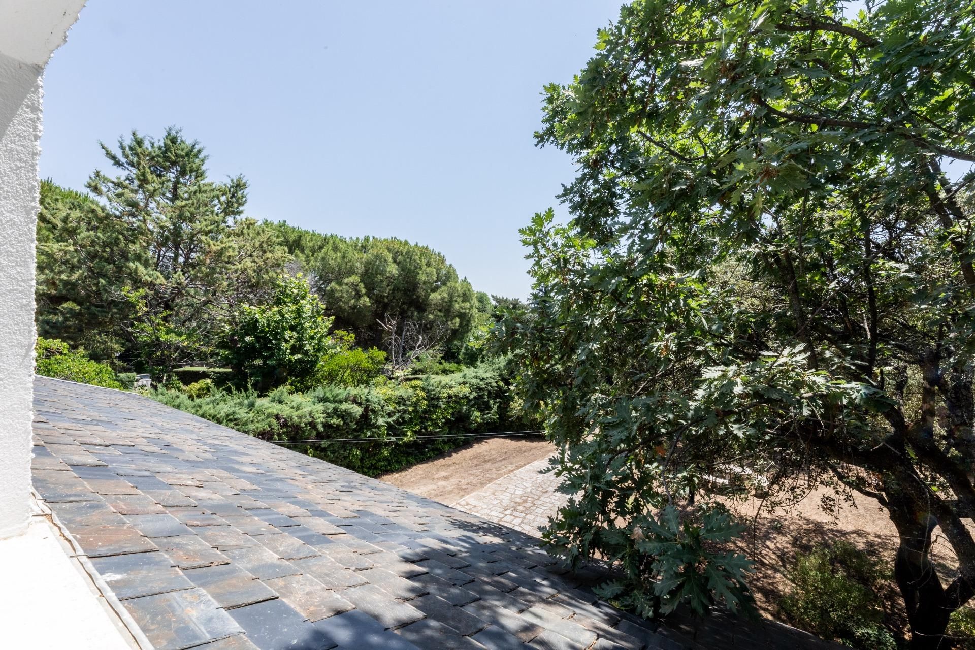 Jardín de Casa o chalet en venta en El Escorial con Calefacción, Jardín privado y Terraza