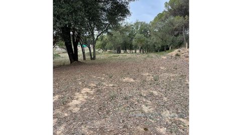 Foto 4 de Casa o xalet en venda a Diseminados Can Marco, Sils, Girona