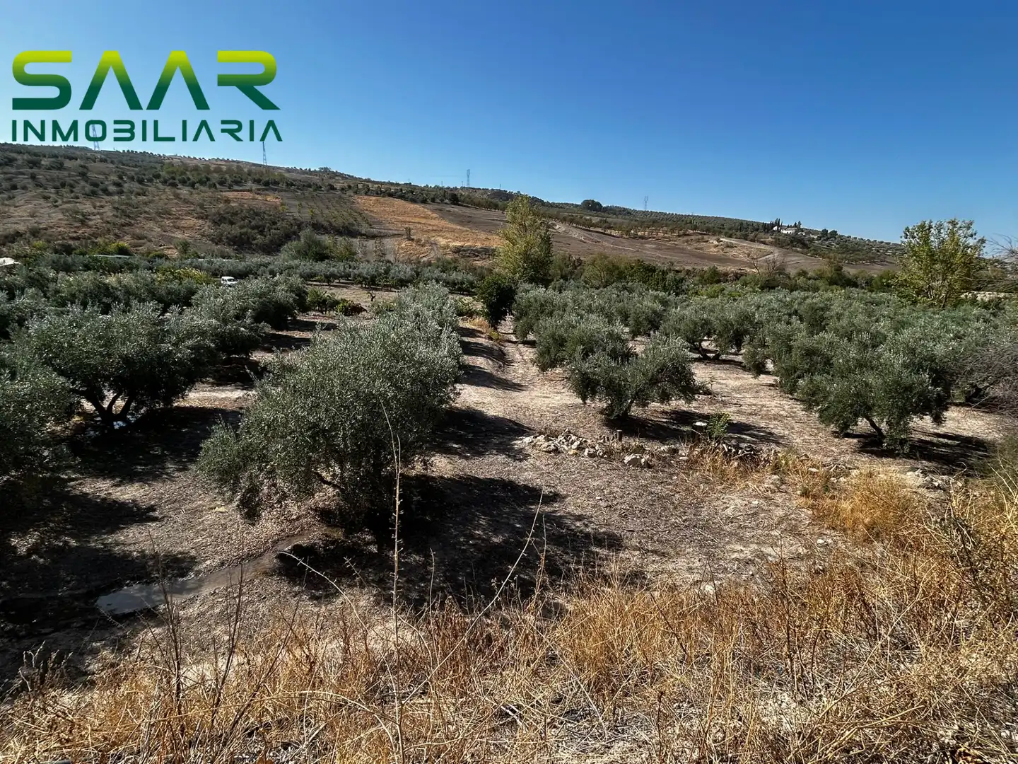 Terreni e lotti in vendita a Calicasas