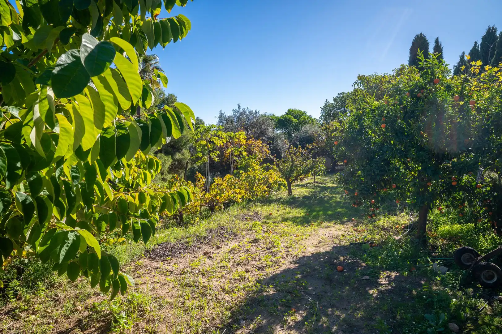 Casa o xalet en venda en Mijas amb Terrassa
