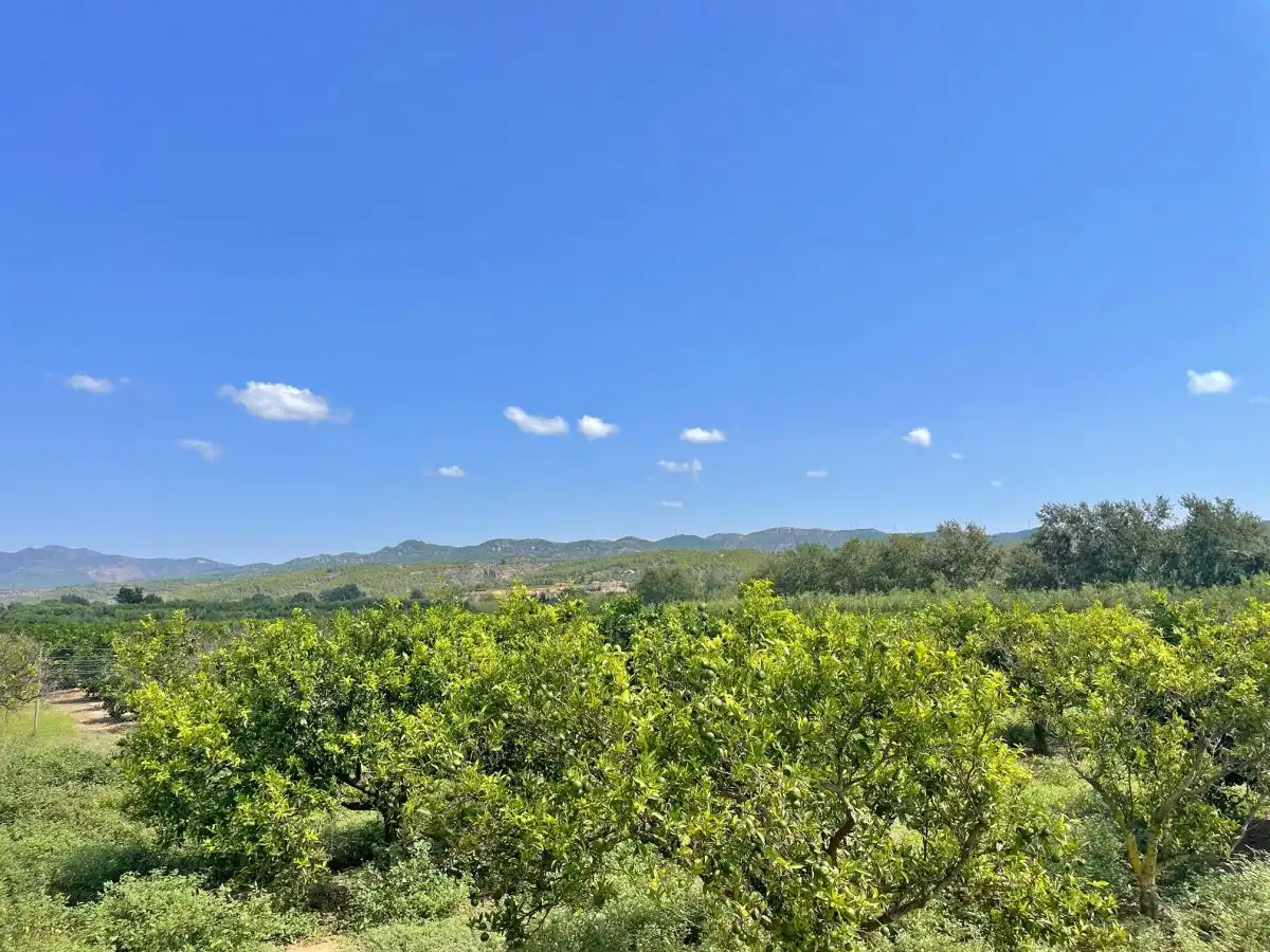 Villa à vendre à Jesús - Els Reguers, imagen 117