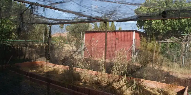Jardín de Casa o chalet en venta en La Carlota con Jardín privado, Terraza y Trastero