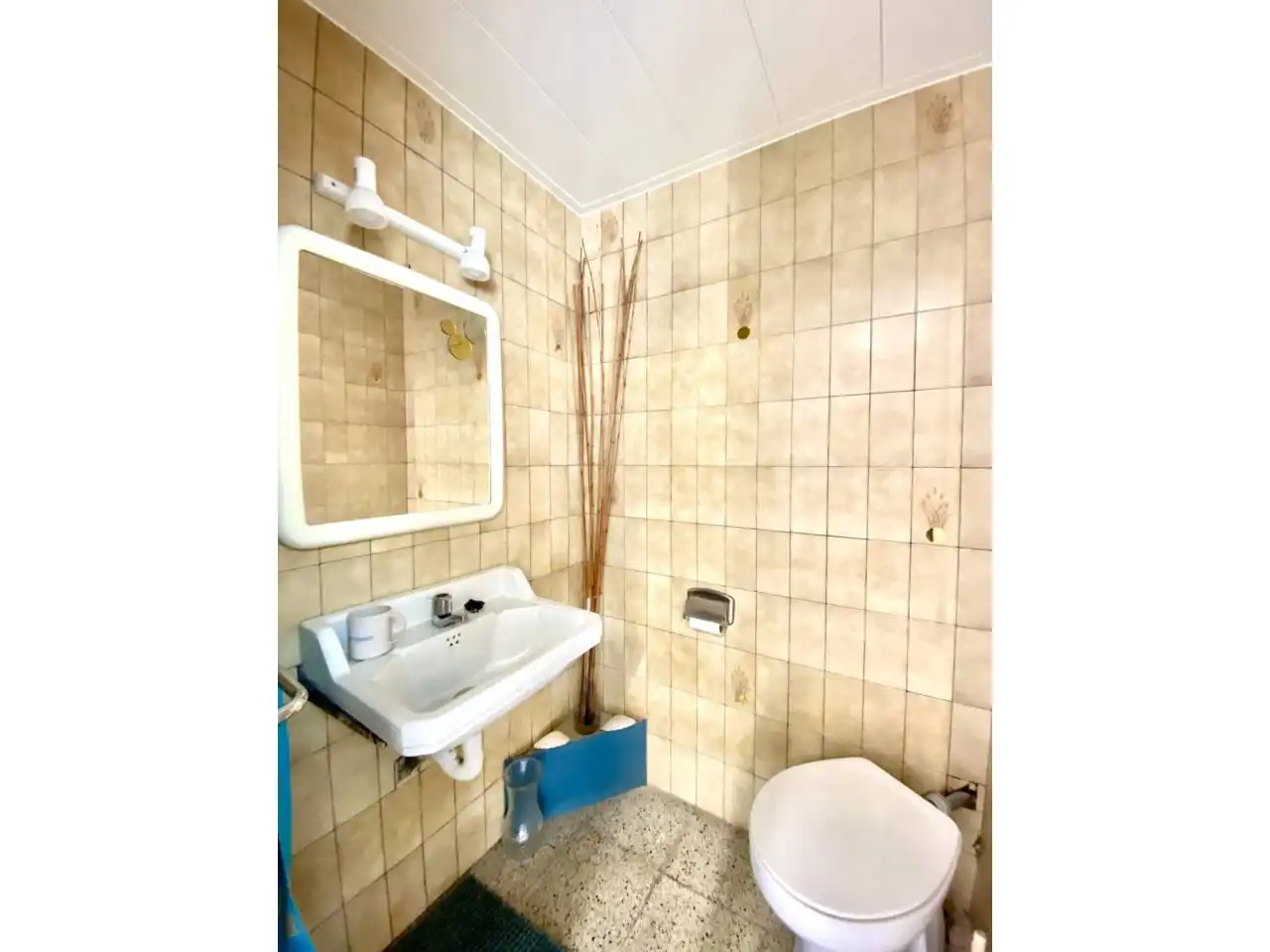 Gewerbefläche zum Verkauf in Avenida SANTA COLOMA, imagen 8