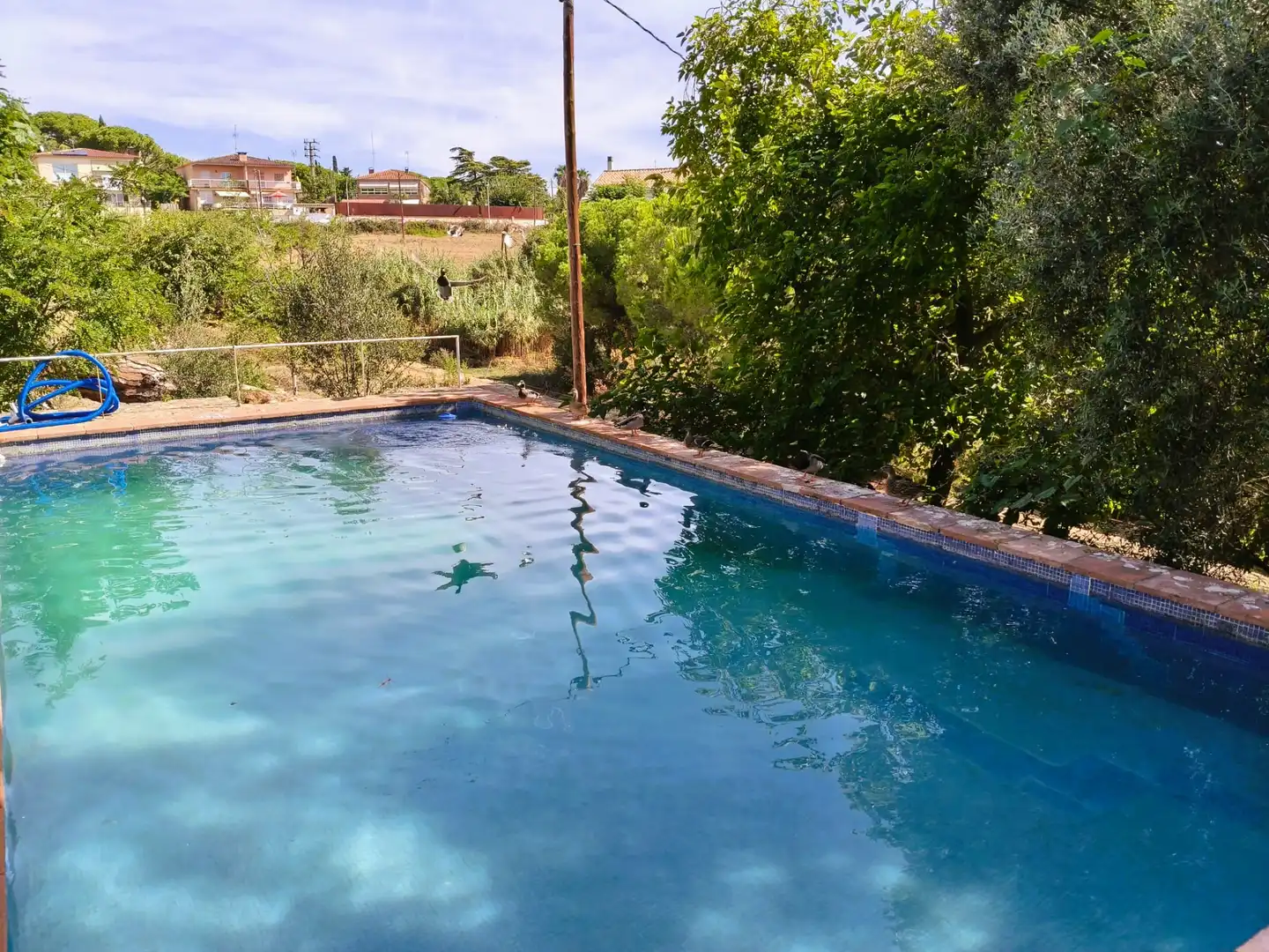 Detached house with pool for sale in Carrer Can Soberano, imagen 6