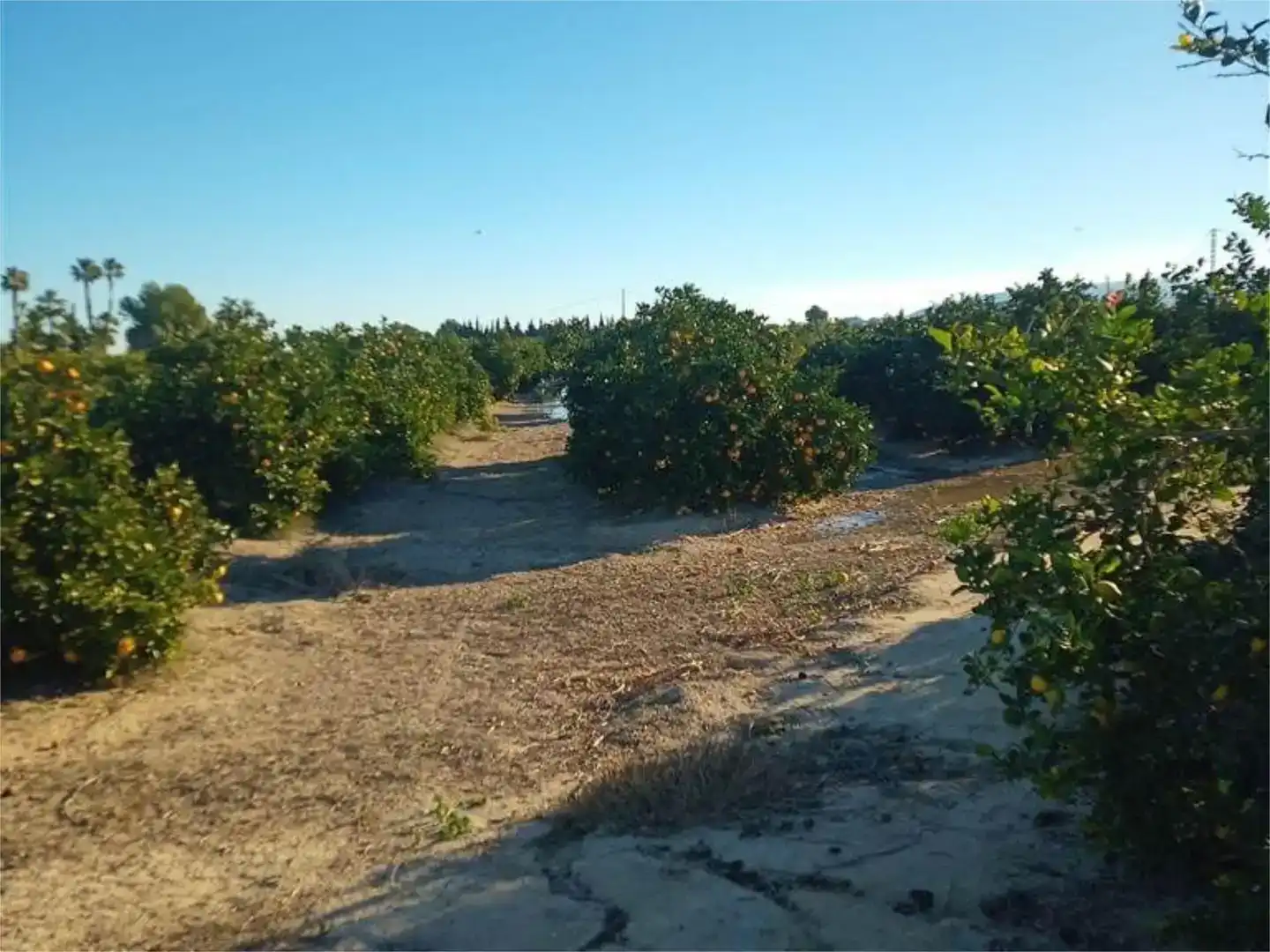 Terreno en venta en Orihuela