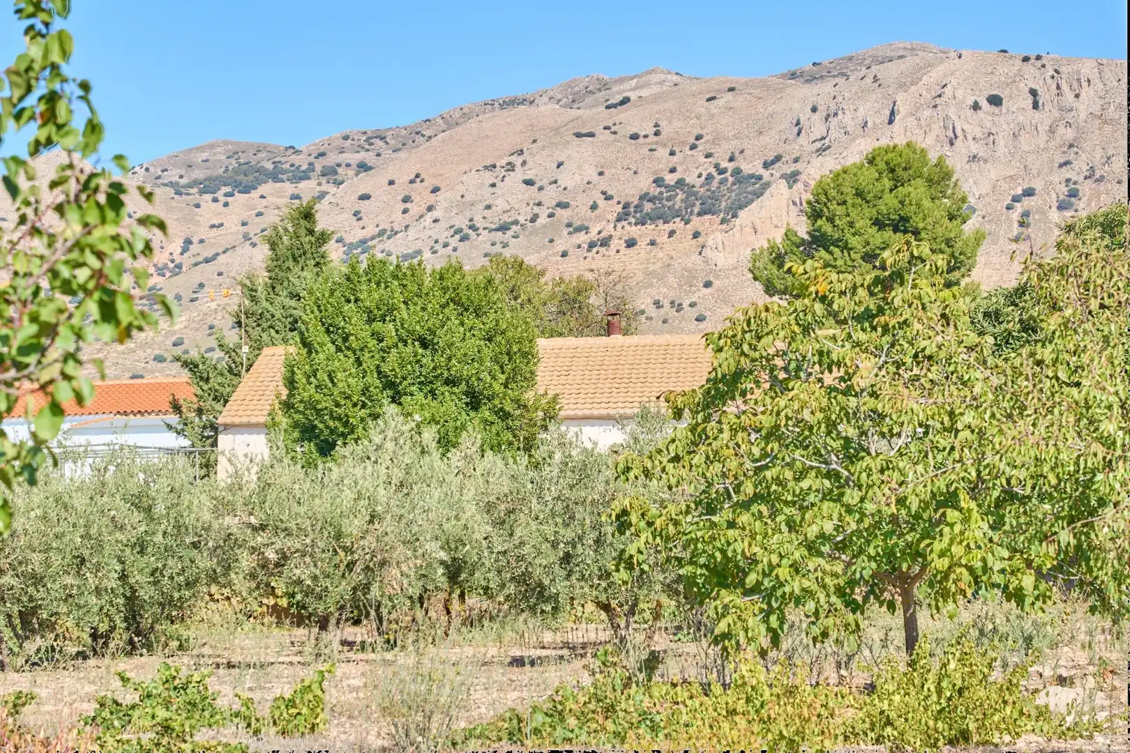 Casa o chalet en venta en Cúllar con Calefacción, Jardín privado y Terraza