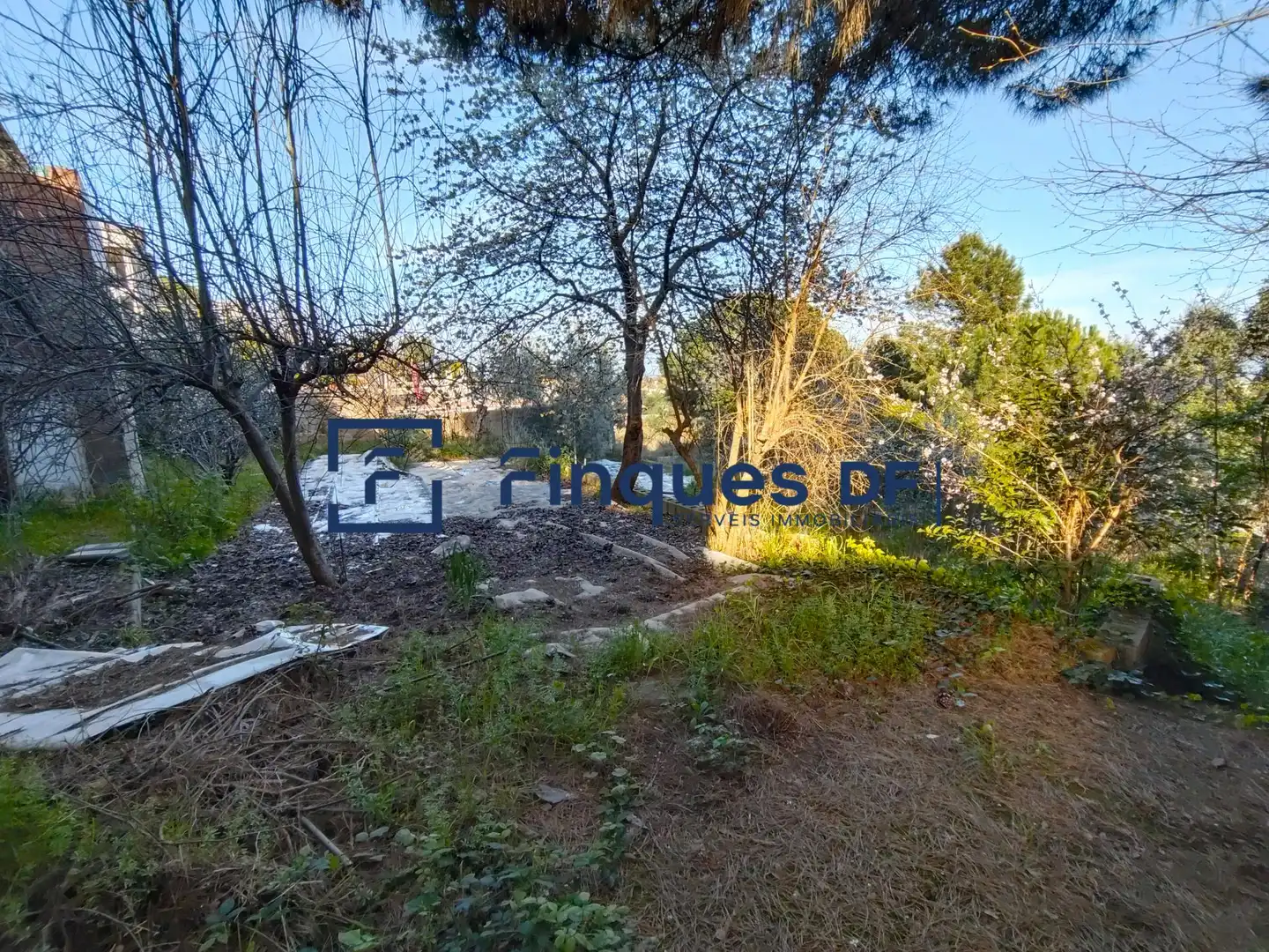 Chalet en venta en Riudarenes, imagen 28