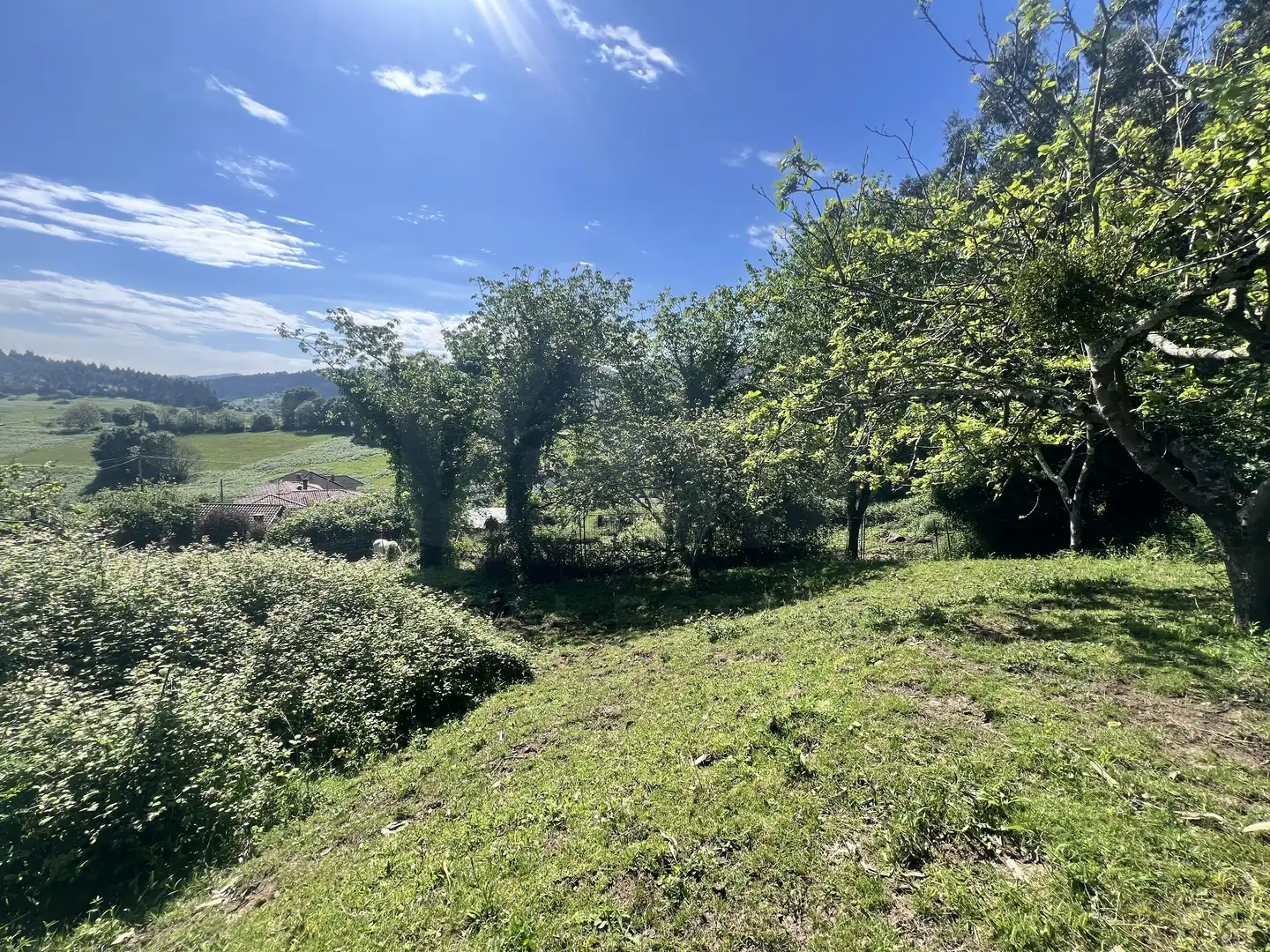 Detached homes for sale in Castrillón