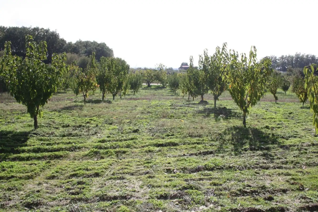 Finca rústica en venta en Torremenga con Jardín privado, Terraza y Amueblado