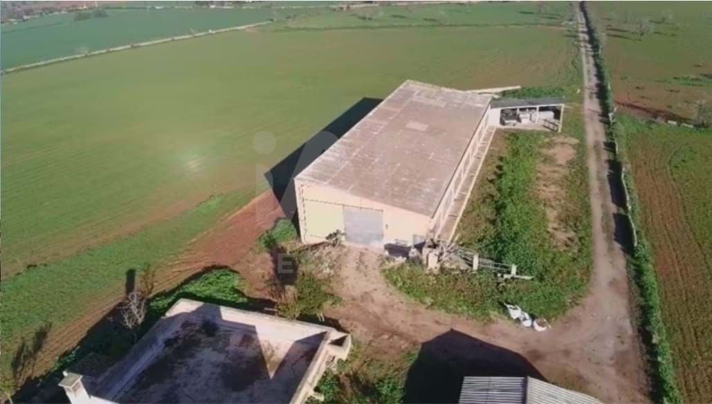 Local de lloguer en Campos