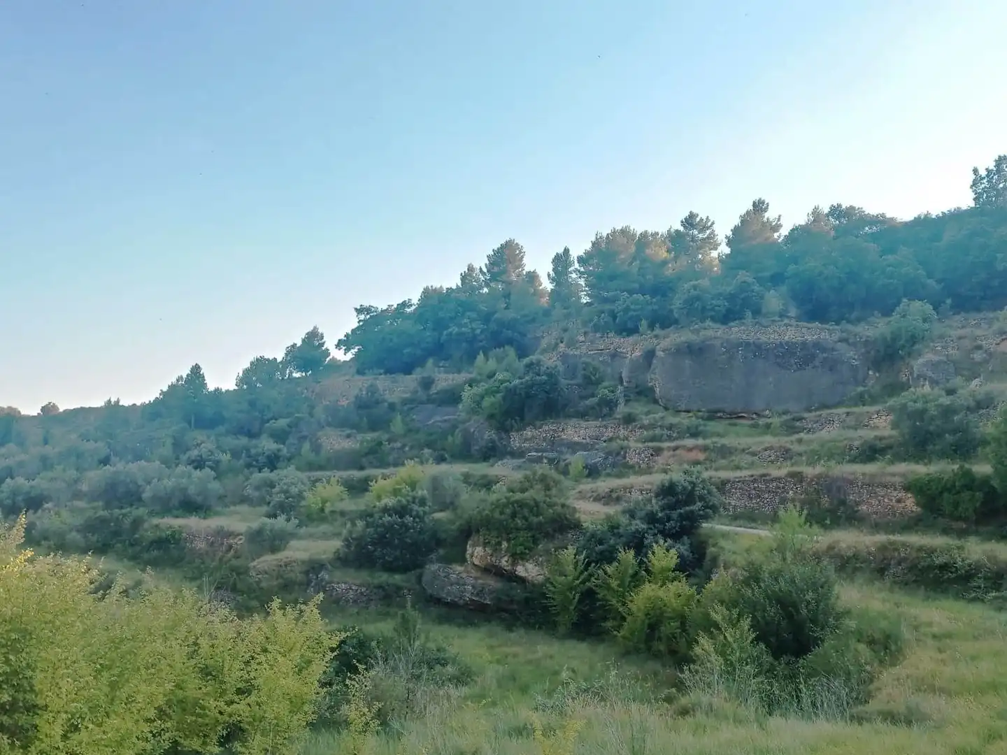 Terreni e lotti in vendita a Monroyo, imagen 2