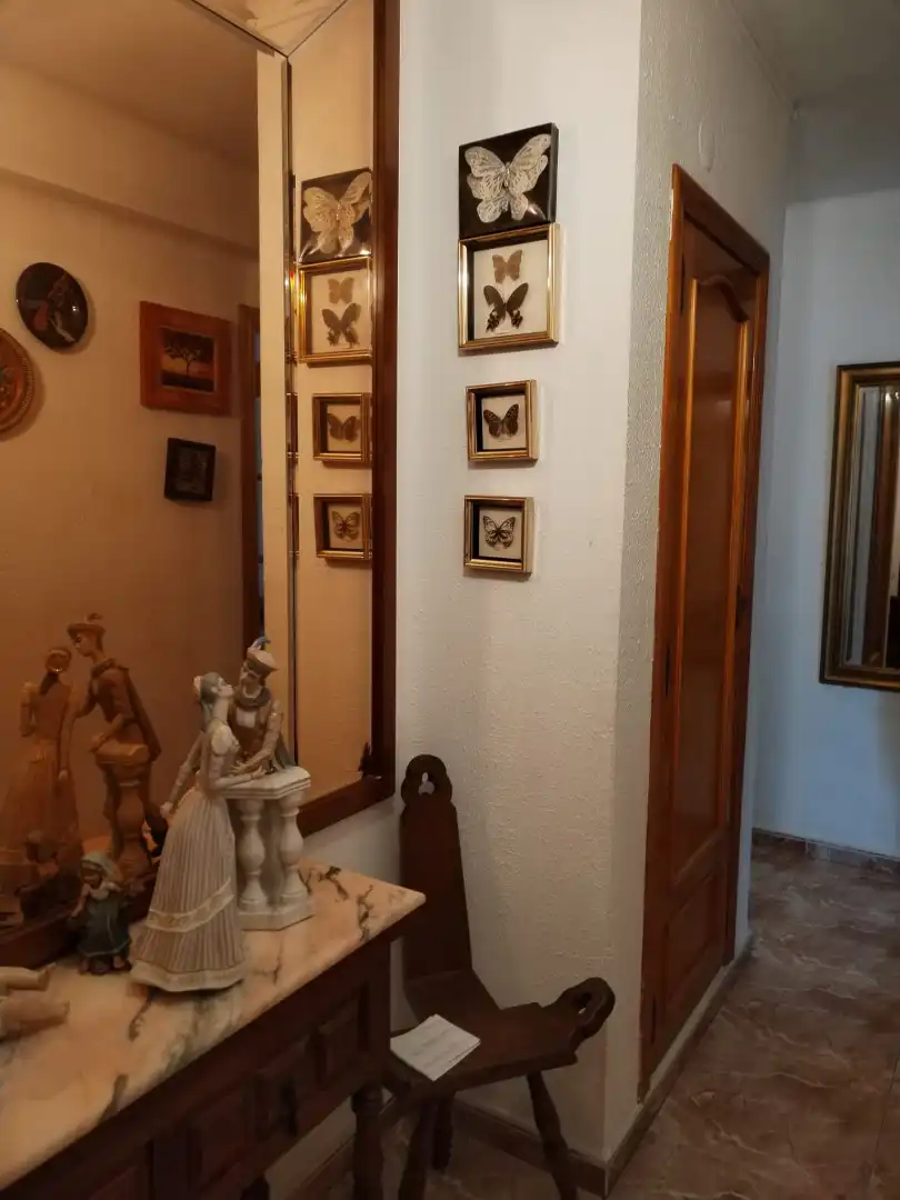 Flat for sale in Valencia  with Furnished and Balcony