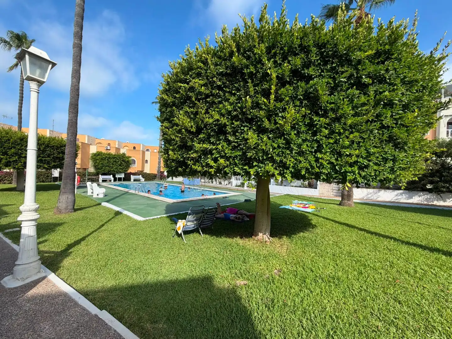 Piscina de Casa o chalet en venta en Torrevieja con Aire acondicionado, Jardín privado y Terraza