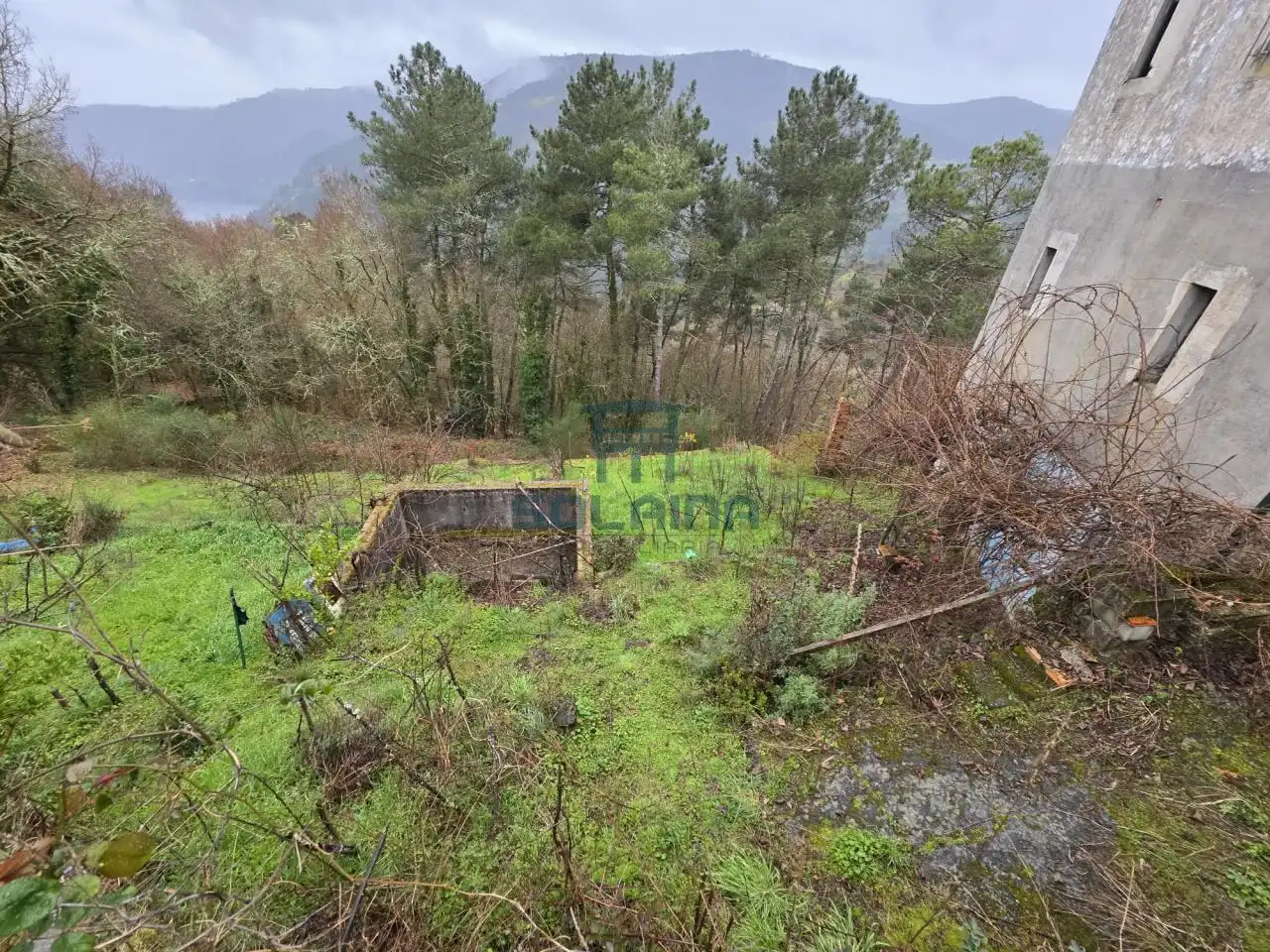 Casa o xalet en venda en Pantón amb Calefacció i Jardí privat