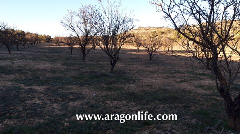 Foto 5 de Finca rústica en venta en Fabara, Zaragoza